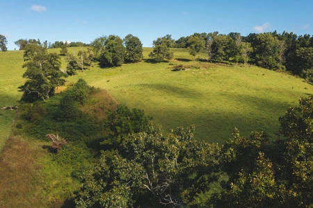Land for Sale in Floyd VA with Views! - image 17