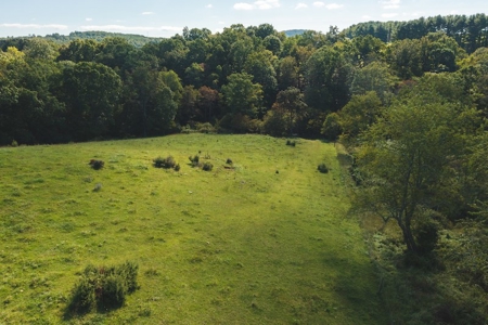 Land for Sale in Floyd VA with Views! - image 19