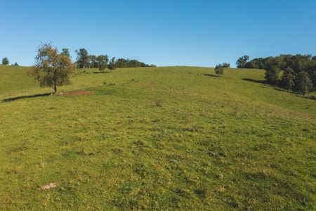 Land for Sale in Floyd VA with Views! - image 5