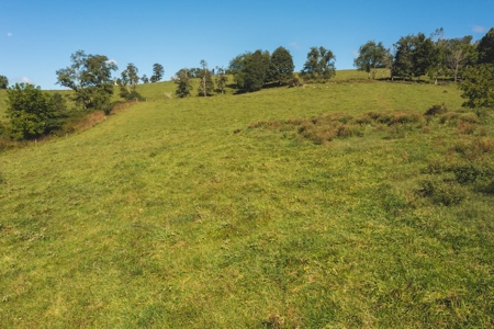 Land for Sale in Floyd VA with Views! - image 14