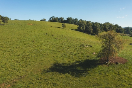 Land for Sale in Floyd VA with Views! - image 6