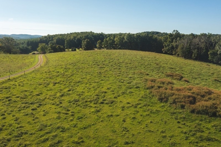 Land for Sale in Floyd County VA! - image 25