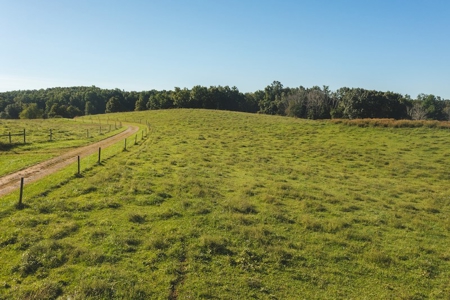 Land for Sale in Floyd County VA! - image 24