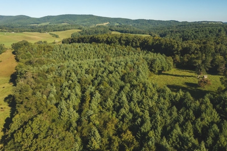 Land for Sale in Floyd County VA! - image 4