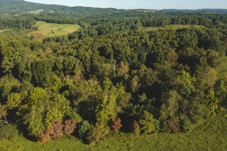Land for Sale in Floyd County VA! - image 9