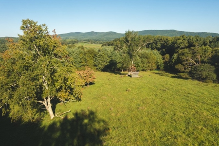 Land for Sale in Floyd County VA! - image 3