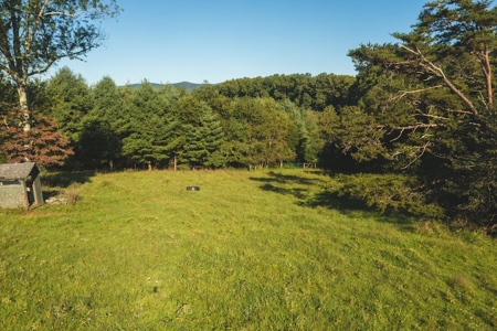 Land for Sale in Floyd County VA! - image 15