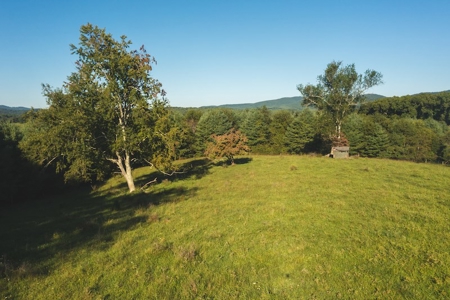 Land for Sale in Floyd County VA! - image 2