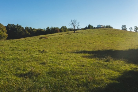 Land for Sale in Floyd County VA! - image 1