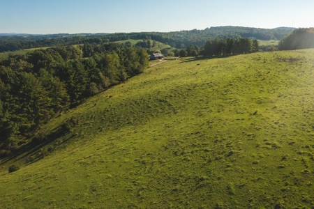 Building Land for Sale in Floyd VA! - image 8