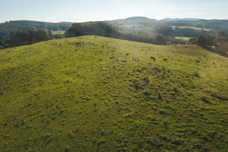 Building Land for Sale in Floyd VA! - image 7