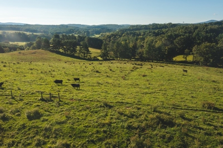 Building Land for Sale in Floyd VA! - image 5