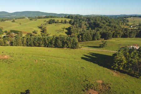 Open Building Land for Sale in Floyd County VA! - image 3