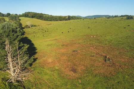 Open Building Land for Sale in Floyd County VA! - image 7