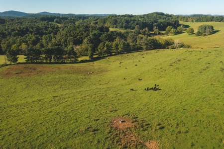 Open Building Land for Sale in Floyd County VA! - image 2