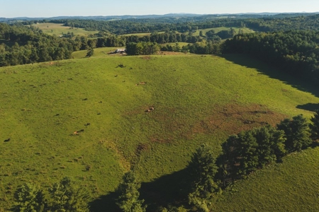 Open Building Land for Sale in Floyd County VA! - image 5