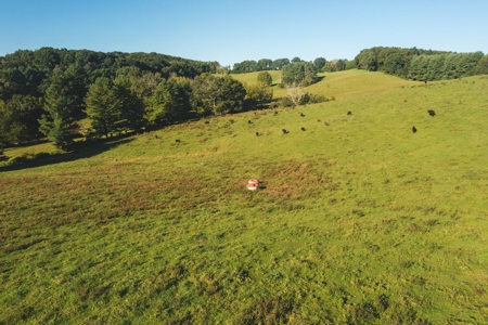 Open Building Land for Sale in Floyd County VA! - image 9