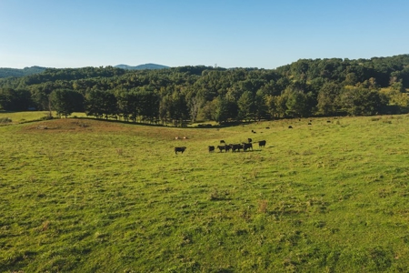 Open Building Land for Sale in Floyd County VA! - image 1