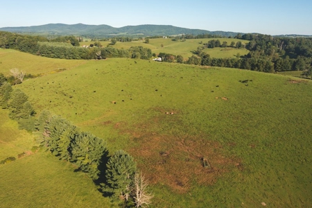 Open Building Land for Sale in Floyd County VA! - image 6