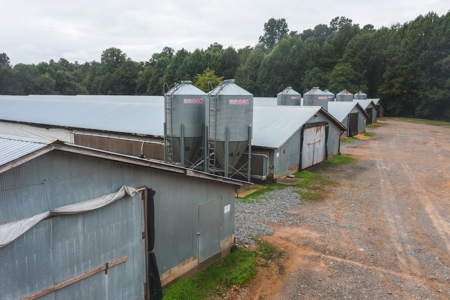 Chicken Farm for Sale in Dobson North Carolina - image 8