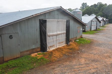 Chicken Farm for Sale in Dobson North Carolina - image 10