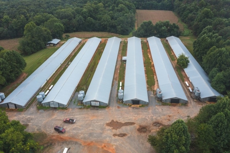 Chicken Farm for Sale in Dobson North Carolina - image 2