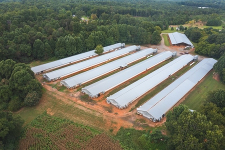 Chicken Farm for Sale in Dobson North Carolina - image 6