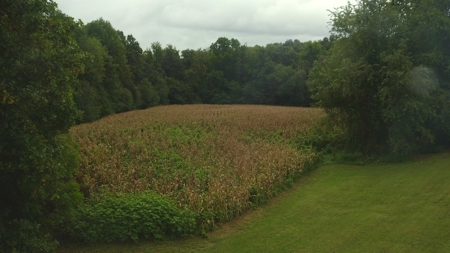 Chicken Farm for Sale in Dobson North Carolina - image 11