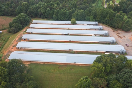 Chicken Farm for Sale in Dobson North Carolina - image 3