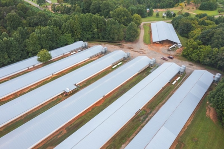 Chicken Farm for Sale in Dobson North Carolina - image 5
