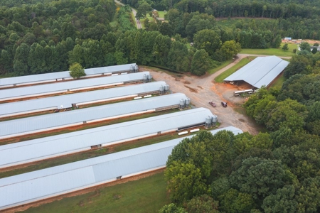 Chicken Farm for Sale in Dobson North Carolina - image 4