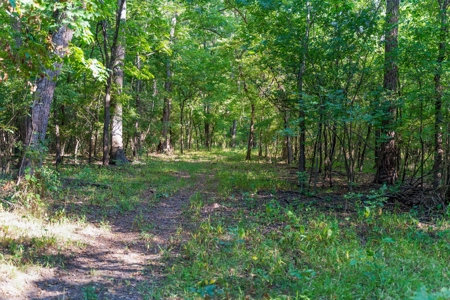 Hunting Land For Sale in Delaware, Oklahoma - image 14