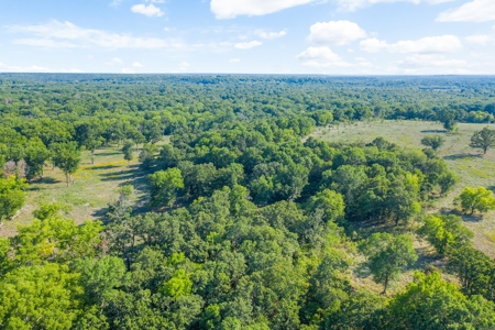 Hunting Land For Sale in Delaware, Oklahoma - image 13
