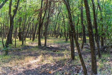 Hunting Land For Sale in Delaware, Oklahoma - image 16