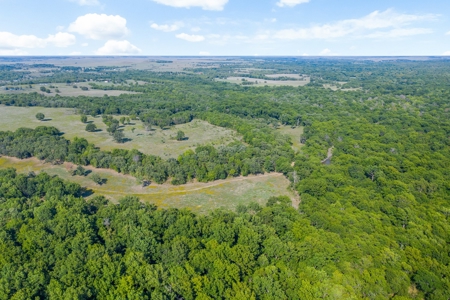Hunting Land For Sale in Delaware, Oklahoma - image 7