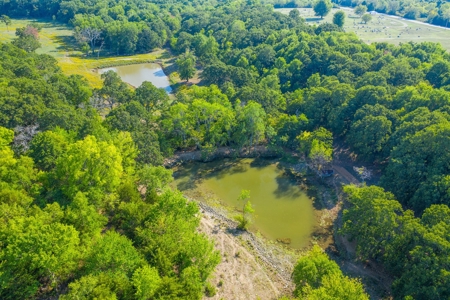 Hunting Land For Sale in Delaware, Oklahoma - image 2