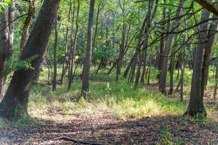 Hunting Land For Sale in Delaware, Oklahoma - image 15