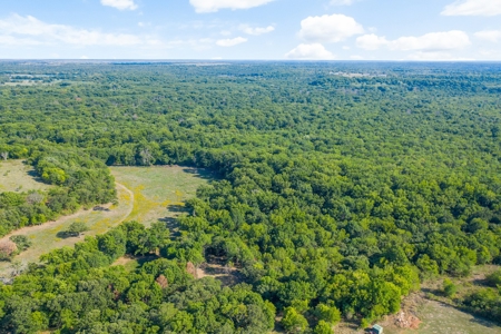 Hunting Land For Sale in Delaware, Oklahoma - image 4