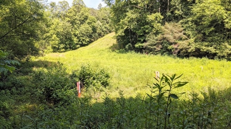Vinton County Ohio Land for Sale - image 31
