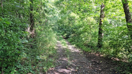Vinton County Ohio Land for Sale - image 9