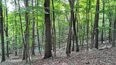 Vinton County Ohio Land for Sale - image 23