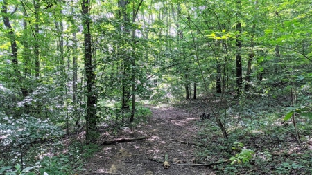 Vinton County Ohio Land for Sale - image 2