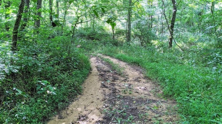 Vinton County Ohio Land for Sale - image 10