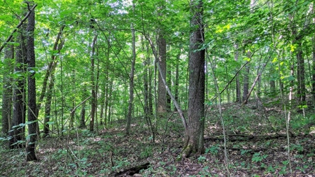 Vinton County Ohio Land for Sale - image 13