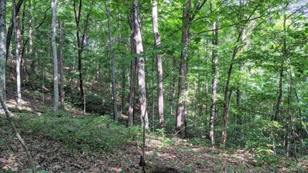 Vinton County Ohio Land for Sale - image 16