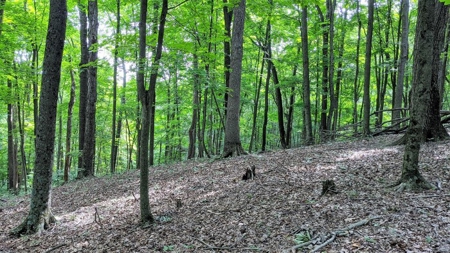Vinton County Ohio Land for Sale - image 22