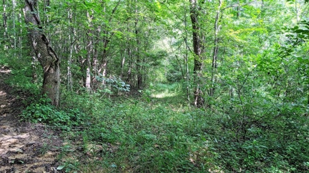 Vinton County Ohio Land for Sale - image 11