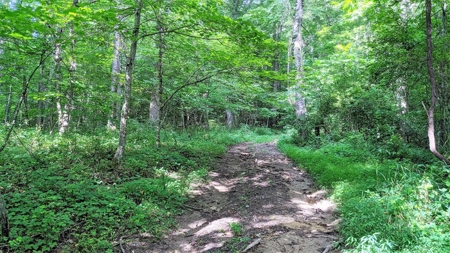 Vinton County Ohio Land for Sale - image 12