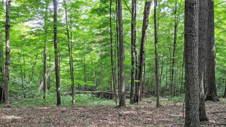 Vinton County Ohio Land for Sale - image 21