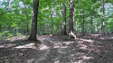 Vinton County Ohio Land for Sale - image 19